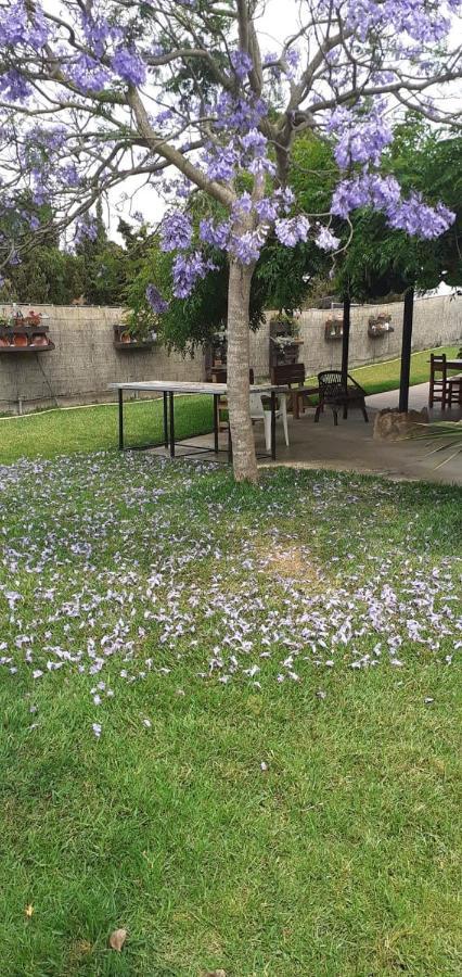 Casa Rural Carme De Nelis Deltebre Esterno foto